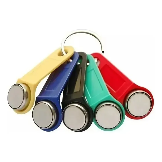 Llaves Magneticas De Contacto Pin I-button Surtikey Sagres