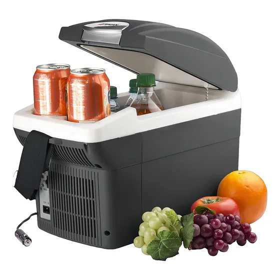 Conservadora Termica Heladera Portatil 12v Friocalor Auto 8l Color Negro