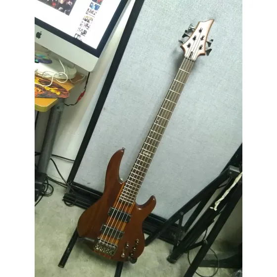 Esp Ltd D-5 5 String Bass Guitar - Natural Burst Activo