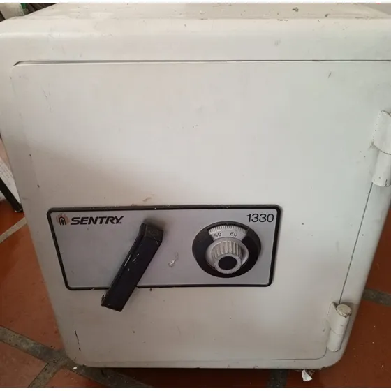 Caja Fuerte Sankey