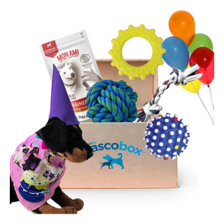 Mascobox Cumpleaños Con Juguetes Cotillon Premium Perros Mascobox Cumpleaños Con Juguetes Cotillon Premium Perros