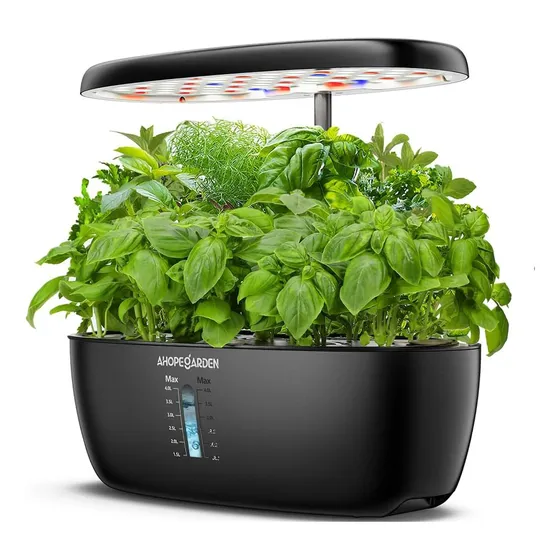 Sistema Cultivo Hidroponico Plantas Flores Frutas Verduras