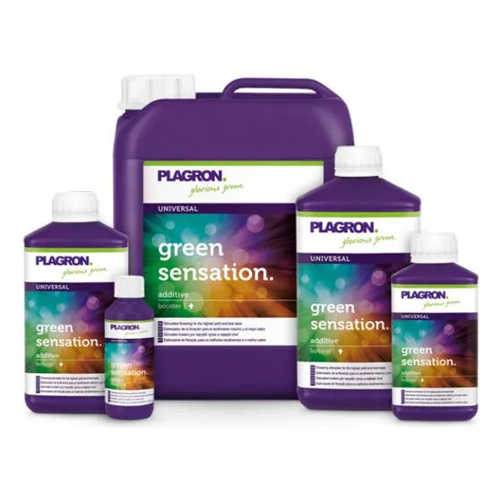 Fertilizante Floración Engorde Green Sensation 100ml Plagron