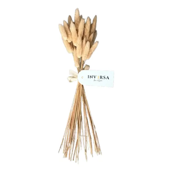 Ramo Flores Secas Preservadas Colita De Vison Deco Oferta