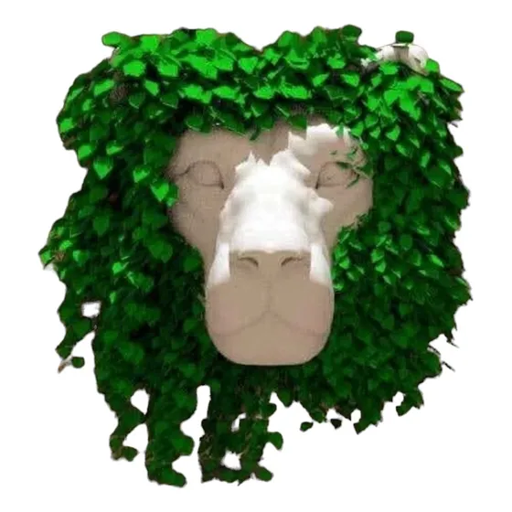 Maceta Cabeza De Leon