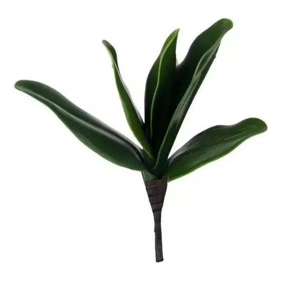 Wx 10 Peças De Folha De Orquídea Borboleta Artificial Verde
