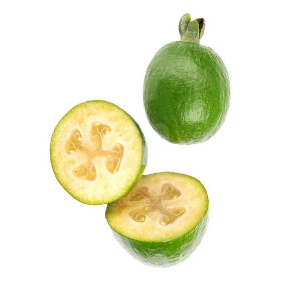Feijoa Arbol Planta Frutal Exótica