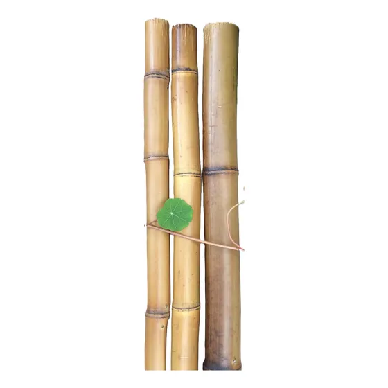 Palo De Bambú 150 Cm Largo 18 Mm Diámetro Aprox