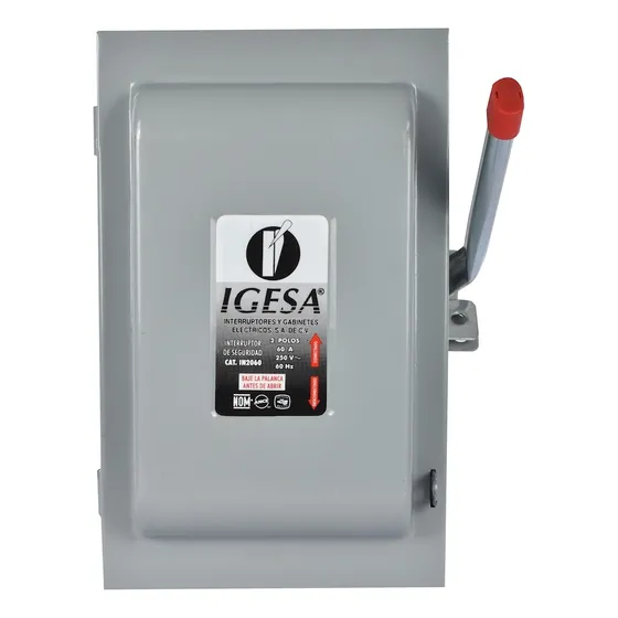 Interruptor Igesa 2x60 Amperes