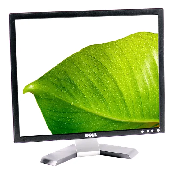 Monitor Lcd Dell 19 Polegadas E198fp - C/cabos - Funcionando