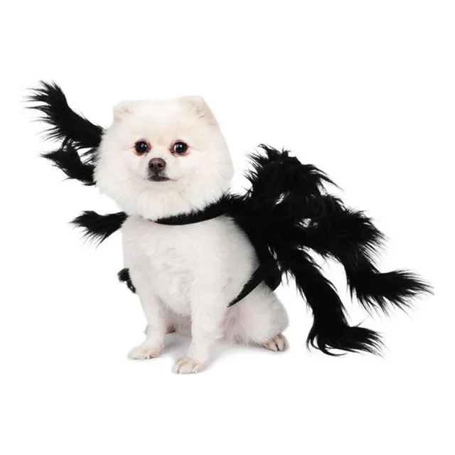 S Perro Gato Araña Disfraz Araña Ala Disfraz Mascota Para Sg