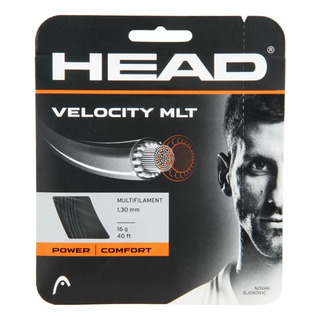 Corda Head Velocity Set Individual Corda Head Velocity Set Individual