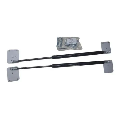 Cama Vertical 2 Pistones De 50 Kg + Placas