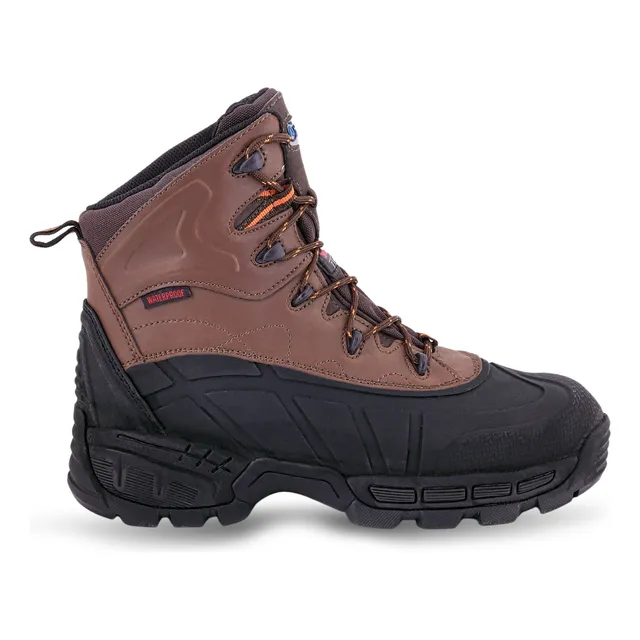 Botin V85