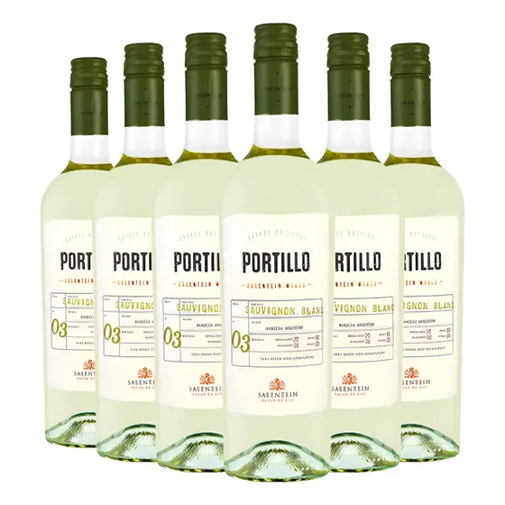 Vino Blanco Portillo Sauvignon Blanc Salentein Mendoza X6