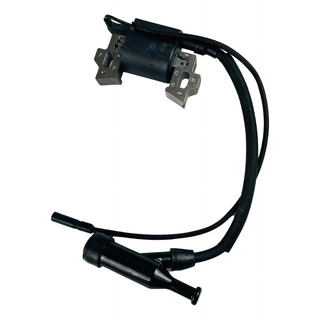 Módulo Bobina Ignição Motores 5.5/6.5/7.5hp Branco Buffalo Módulo Bobina Ignição Motores 5.5/6.5/7.5hp Branco Buffalo