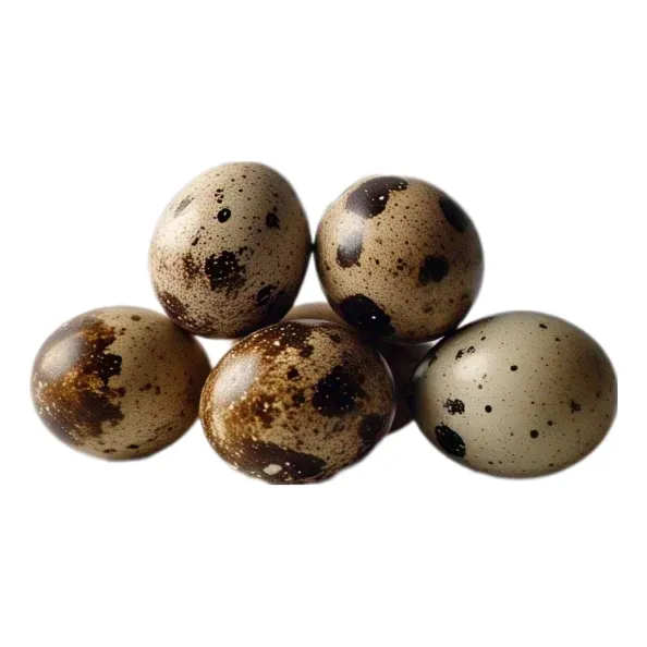 Huevos Fértiles De Codorniz Mix Habano Tuxedo - 24 Unidades