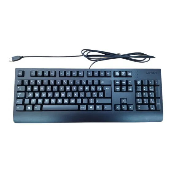 Teclado Lenovo Model Ku-0225 Interfaz Usb 