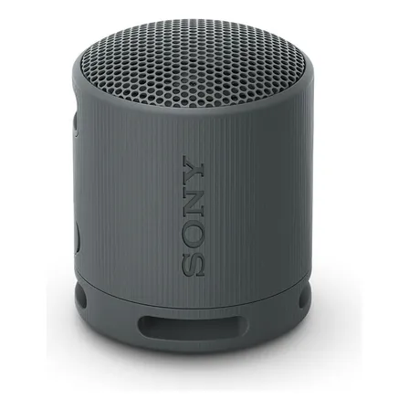 Parlante Inalámbrico Portátil Srs-xb100 Negro Sony
