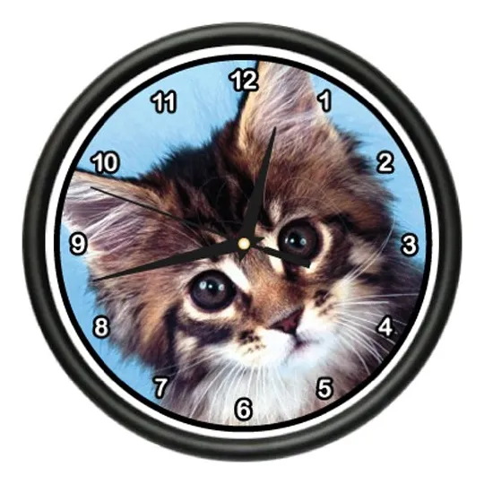 Reloj Pared Diseño Gatito