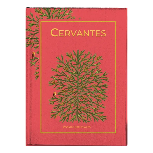 Coleccion Poesia Ed Salvat Tapa Dura Varios Libros