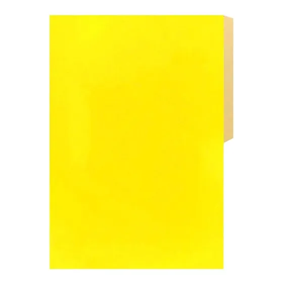 Carpeta Cartón Pigmentada Oficio 100un / Artesano Libreria