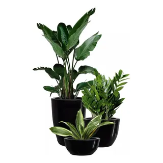 Kit 3 Vasos Estilo Vietnamita Luxo Planta Decor Casa Jardim Kit 3 Vasos Estilo Vietnamita Luxo Planta Decor Casa Jardim