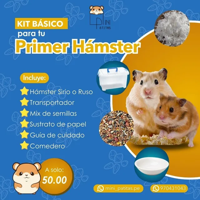Kit Básico Para Hamsters