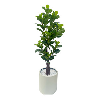 Ficus Lyrata Planta Arvore Artificial Toque Real Decoração Ficus Lyrata Planta Arvore Artificial Toque Real Decoração