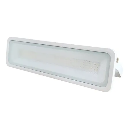 Refletor LED 50W Avant Pro Facciata 3000K Branco IP66 Externo Padrão