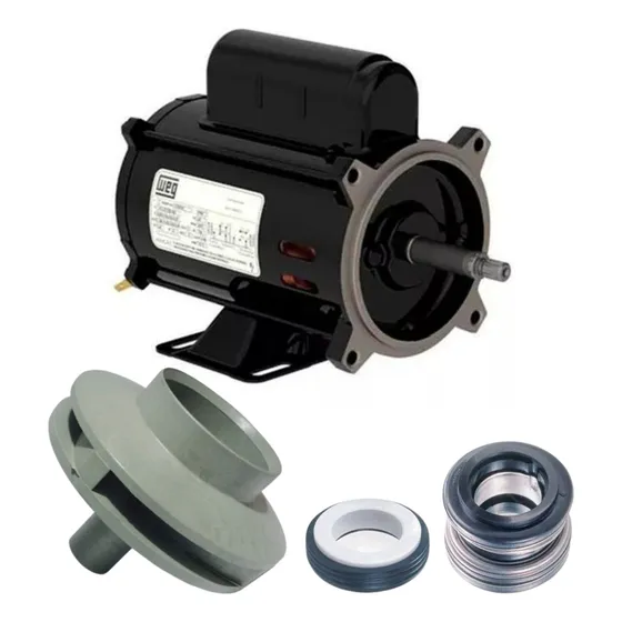 Motor Piscina Weg 0,5cv + Rotor Igui + Selo 3/4 T-06