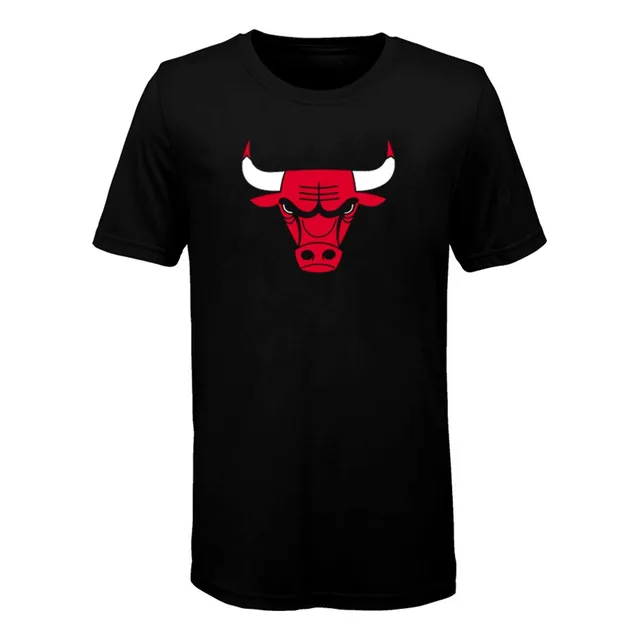 Remera Algodon Basket (007) Chicago Bulls - Jugadores