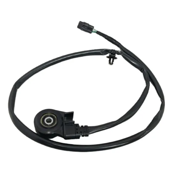 Sensor Pie Amigo Tenere 700