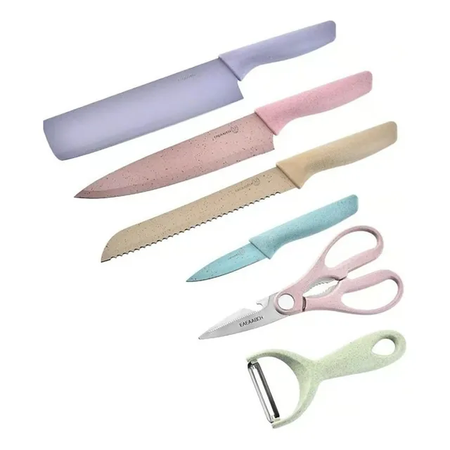 Set De Cuchillos De Cocina 6 Piezas Acero Inoxidable De Colo