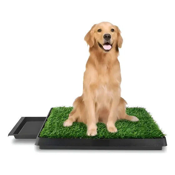 Baño Portátil Extraíble Con Césped Para Perros Grande Xl Verde | Cuotas sin interés