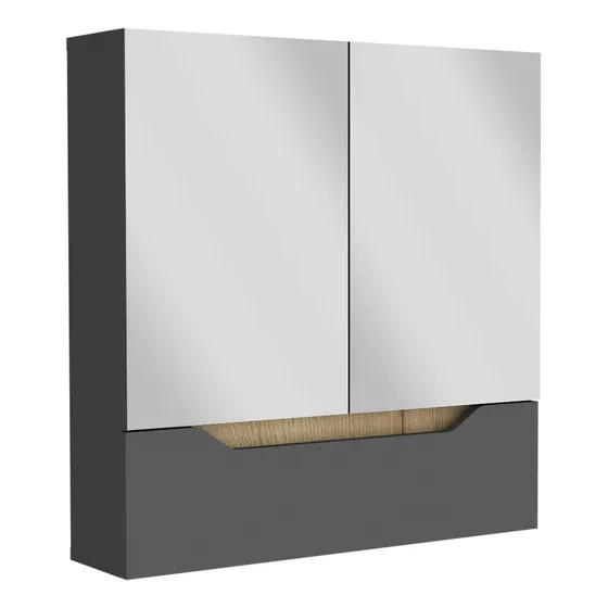 Gabinete De Baño Vicent Plata Oscuro Y Café Claro Color del mueble Plata Oscuro-Cafe Claro