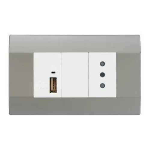 Art Dna Módulo Usb 5a/2.1a + Enchufe Simple 10a Plata K-p03