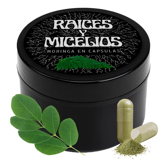 Moringa Oleifera 100 Cápsulas 300mg Planta Natural - Premium
