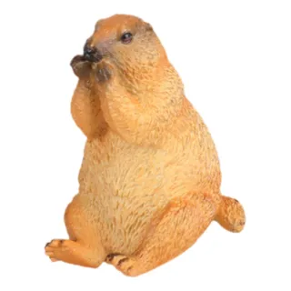 Modelo De Marmota Figura De Escritorio Adorno De Sesión Modelo De Marmota Figura De Escritorio Adorno De Sesión