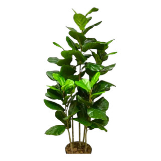 Ficus Lyrata Planta Arvore Artificial 1.60 Mts Toque Real Ficus Lyrata Planta Arvore Artificial 1.60 Mts Toque Real
