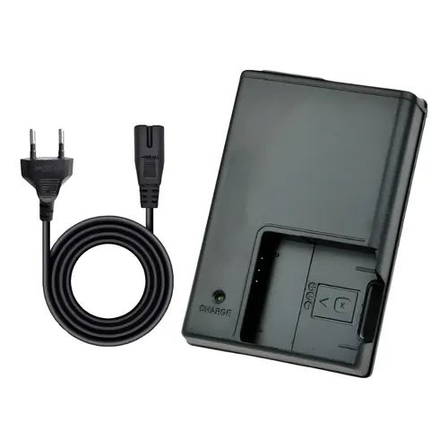 Carregador Panasonic Vsk0697 Para Bateria Vbg070/260 Bivolt Cor