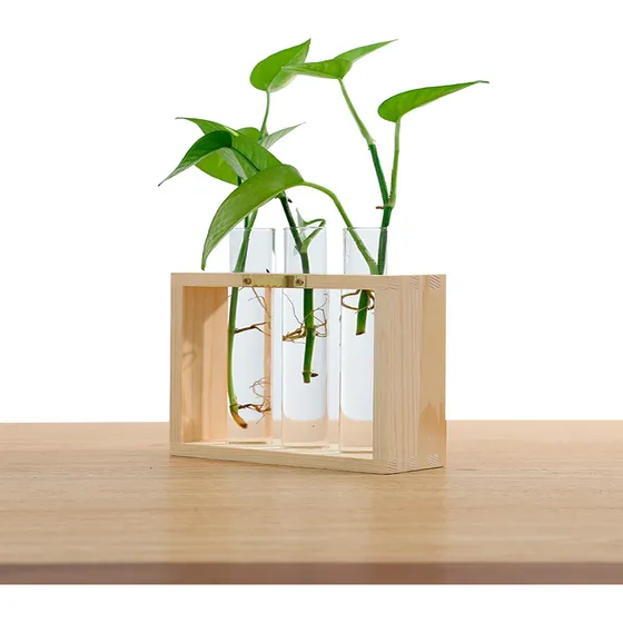 Mini Florero Vidrio Y Madera Plantas Naturales Artificiales
