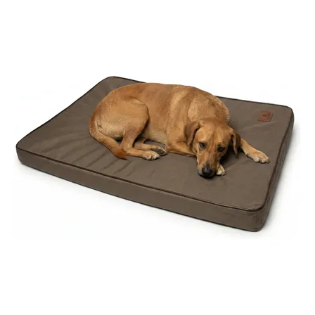 Cama Mupets Colchão Impermeável Ortopédico Para Cães Tam G