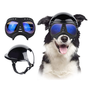 Lentes De Sol Para Perros Y Casco Para Perro Grande Lentes De Sol Para Perros Y Casco Para Perro Grande