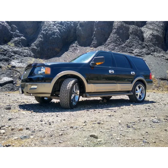 Ford Expedition 5.4 Eddie Bauer Piel Qc 4x2 At