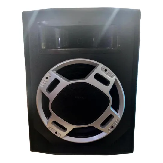 Corneta Amplificada 12 Pulgadas 800w Karaoke Usb Bluetooth