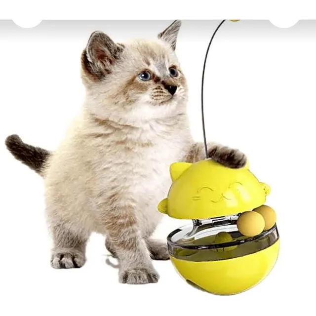 Gatito Siamés Bebé De 1 Mes Con Ojos Azules Y Biberón