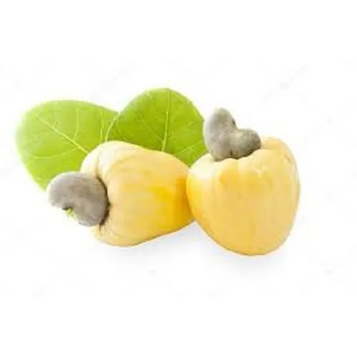Kit - 2 Mudas De Cajú Anão Amarelo E 1 Muda De Sapotí