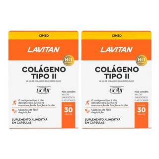 Kit Lavitan Colágeno Tipo Ii 40mg C/ 2un De 30 Cápsulas Cada Kit Lavitan Colágeno Tipo Ii 40mg C/ 2un De 30 Cápsulas Cada