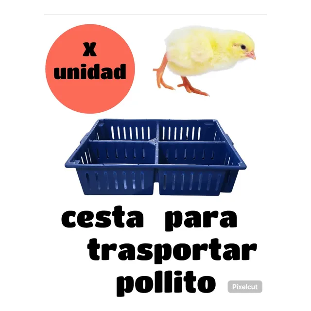 Cesta Para Trasportar Pollitos Bebe